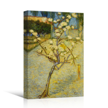 Small Pear Tree in Blossom by Vincent Van Gogh - Canvas Print Wall Art Famous Oil Painting Reproduction - 12" x 18"