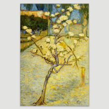 Small Pear Tree in Blossom by Vincent Van Gogh - Canvas Print Wall Art Famous Oil Painting Reproduction - 12" x 18"