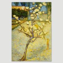 Small Pear Tree in Blossom by Vincent Van Gogh - Canvas Print Wall Art Famous Oil Painting Reproduction - 16" x 24"