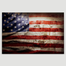 Reverie of the Flag - Canvas Art