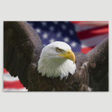 American Pride on Single Canvas - Canvas Art