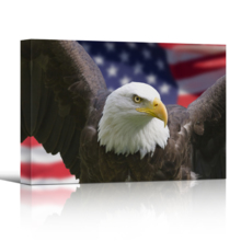 American Pride on Single Canvas - Canvas Art