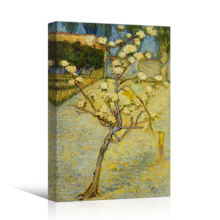 Small Pear Tree in Blossom by Vincent Van Gogh - Canvas Print Wall Art Famous Oil Painting Reproduction - 32" x 48"
