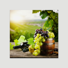 Canvas Prints Wall Art - Bottles of red and White Wine with Fresh Grape on Vineyard | Modern Home Deoration/Wall Art Giclee Printing Wrapped Canvas Art Ready to Hang - 16" x 16"