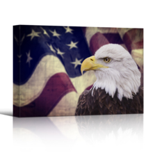 Land of the Free - Canvas Art