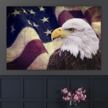 Land of the Free - Canvas Art
