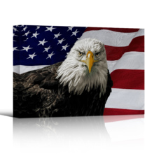 America the Brave - Canvas Art