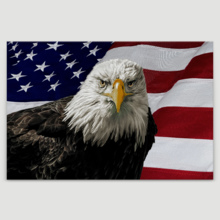 America the Brave - Canvas Art