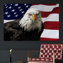 America the Brave - Canvas Art