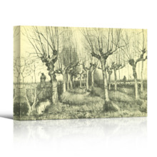 Tree Drawings by Vincent Van Gogh - Canvas Print Wall Art Famous Oil Painting Reproduction - 12" x 18"