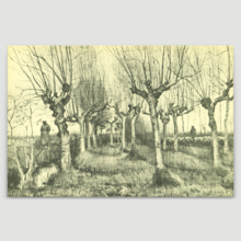 Tree Drawings by Vincent Van Gogh - Canvas Print Wall Art Famous Oil Painting Reproduction - 12" x 18"