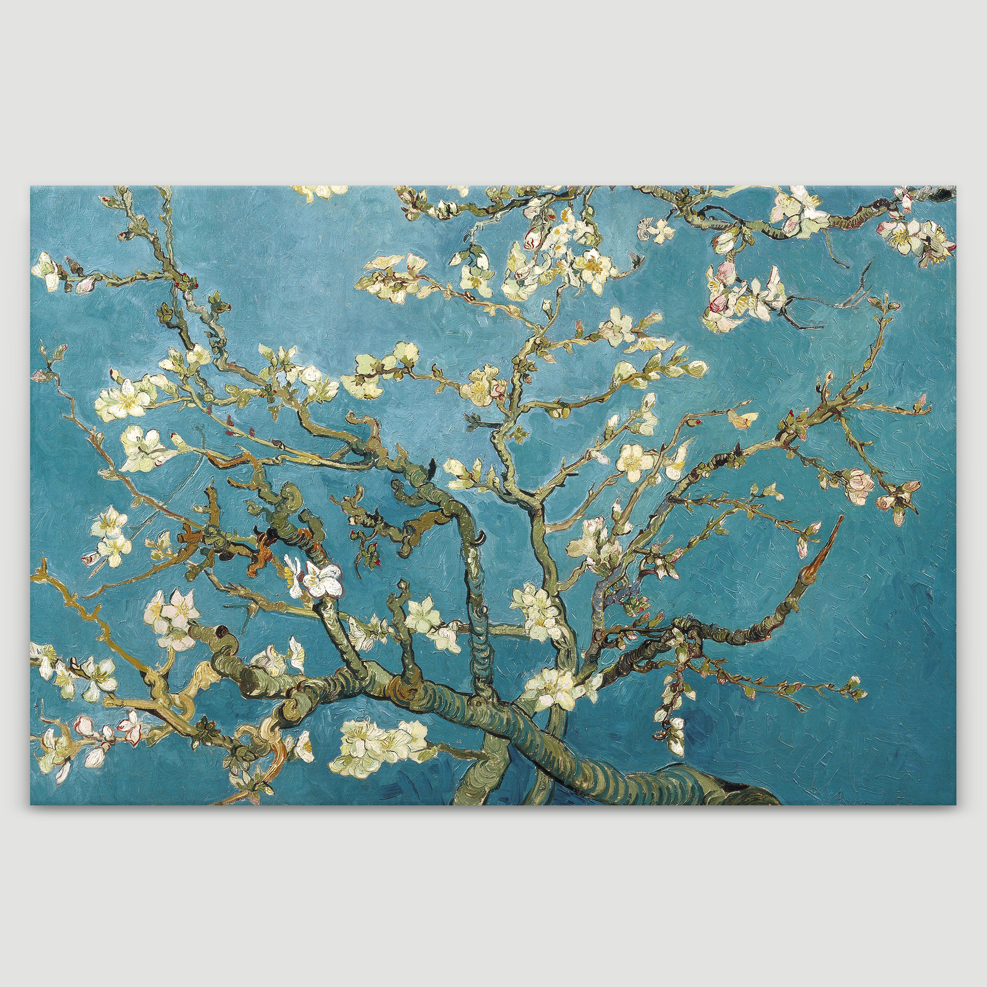 Print Almond Blossoms by Vincent Van Gogh Reproduction x 3 Panels