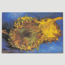 Two Cut Sunflowers, 1887 by Vincent Van Gogh - Canvas Print Wall Art Famous Painting Reproduction - 16" x 24"