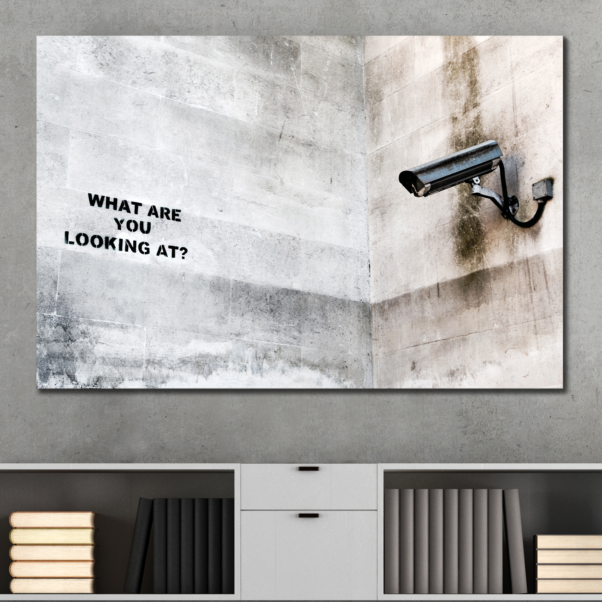 Surveillance What Are You Looking At by Banksy