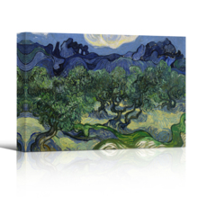 The Olive Trees by Van Gogh - Canvas Print