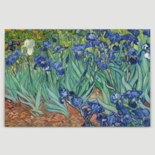 Irises by Van Gogh - Canvas Print