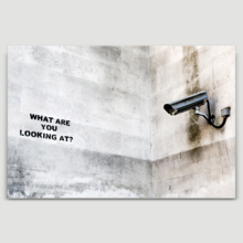 Surveillance What Are You Looking At by Banksy