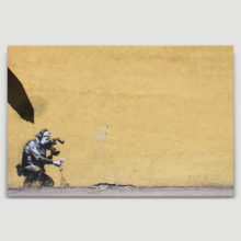 Camera Man With Flowers by Banksy