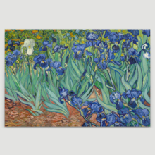 Irises by Van Gogh Giclee Canvas Prints Wrapped Gallery Wall Art | Stretched and Framed Ready to Hang - 12" x 18"