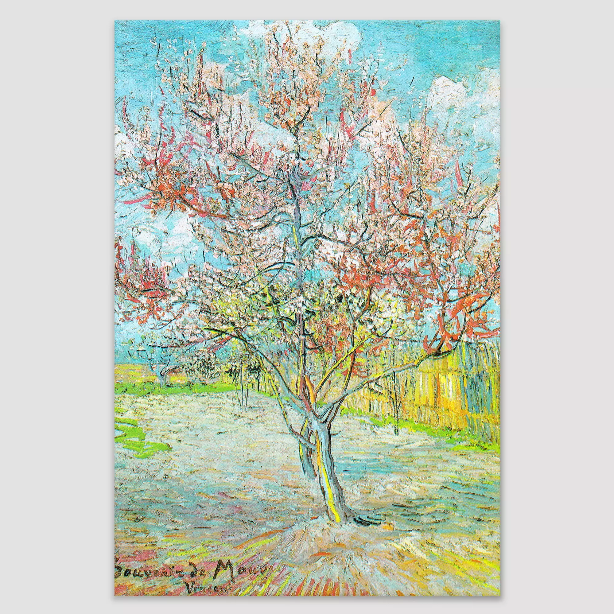 Flowering Peach Trees (Tree In Bloom) by Van Gogh - Canvas Print