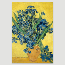 Irises by Vincent Van Gogh - Canvas Print Wall Art Famous Painting Reproduction - 12" x 18"