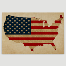 Vintage American Patriotism - Canvas Art