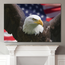 American Pride on Single Canvas - Canvas Art