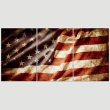 Pride of America - 3 Panel Canvas Art