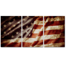 Pride of America - 3 Panel Canvas Art