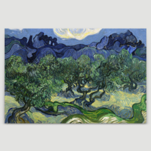 The Olive Trees by Van Gogh - Canvas Print