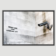 Surveillance What Are You Looking At by Banksy