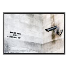 Surveillance What Are You Looking At by Banksy